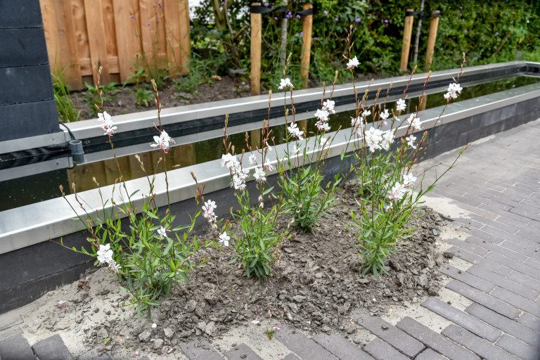 Smalle tuin met lange moderne vijver.