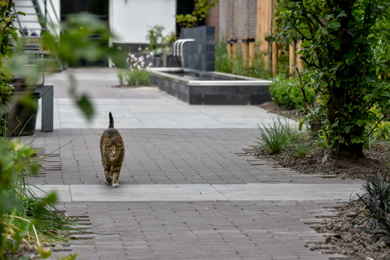 Betegelde lange smalle tuin ideeën.