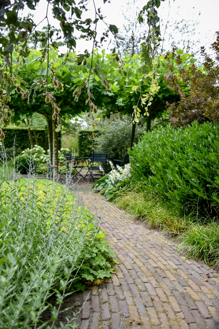 Voorbeelden bestrating achtertuin | tuinaanleg & ontwerp