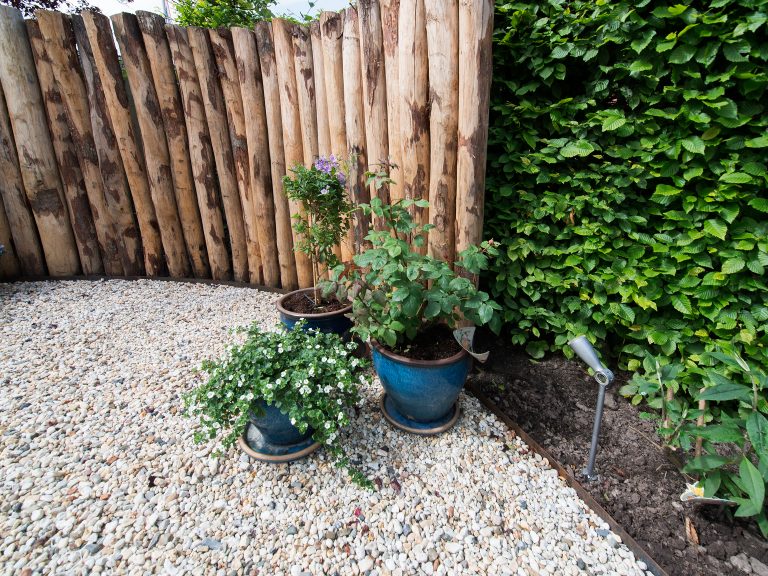 Mediterrane tuin aanleggen | schutting en beplanting in potten