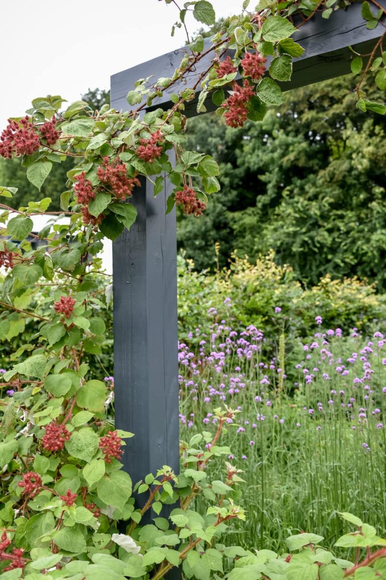 moderne pergola organische tuin