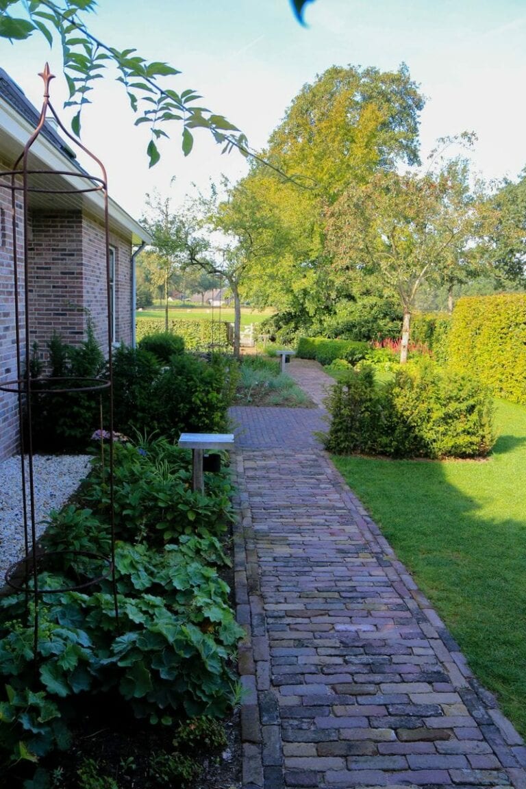 moderne tuin landelijke beplanting