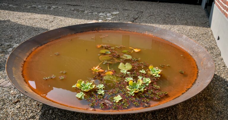 Een cortenstaal waterschaal in landelijke tuin.