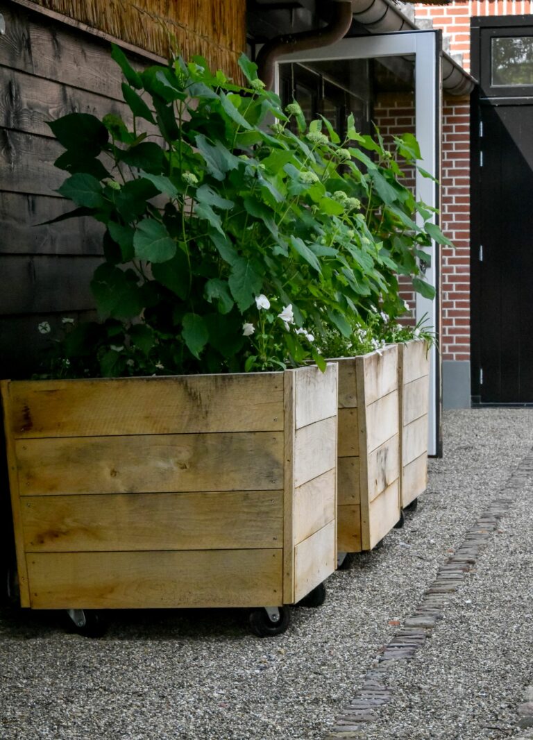 Grote bloembakken in landelijke tuin.