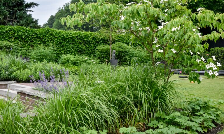 Landelijke strakke tuin beplanting.