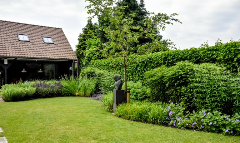 Landelijke strakke tuin; grasveld, begroeide schutting, modern tuinbeeld en tuinhuis.