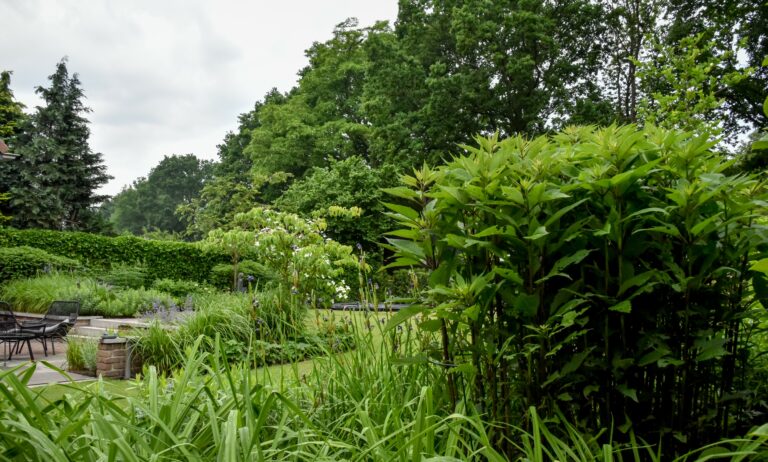 Tuinborder en zitje landelijk en strak.