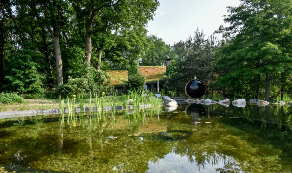 Een natuurlijke zwemvijver met luxe - Booiman Tuinen