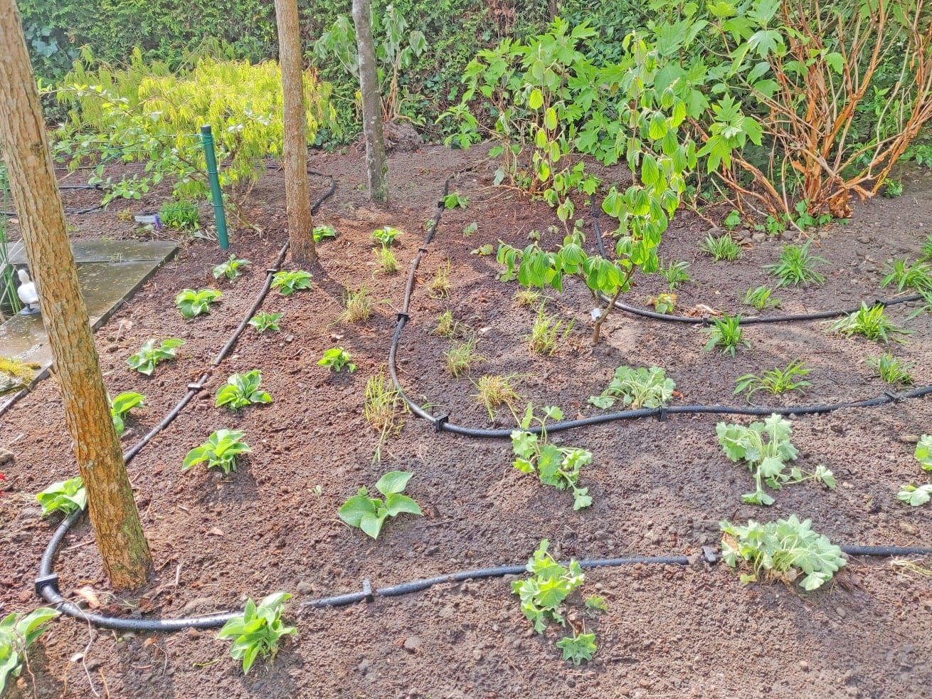 Beregeningsinstallatie in tuin professioneel aanleggen.