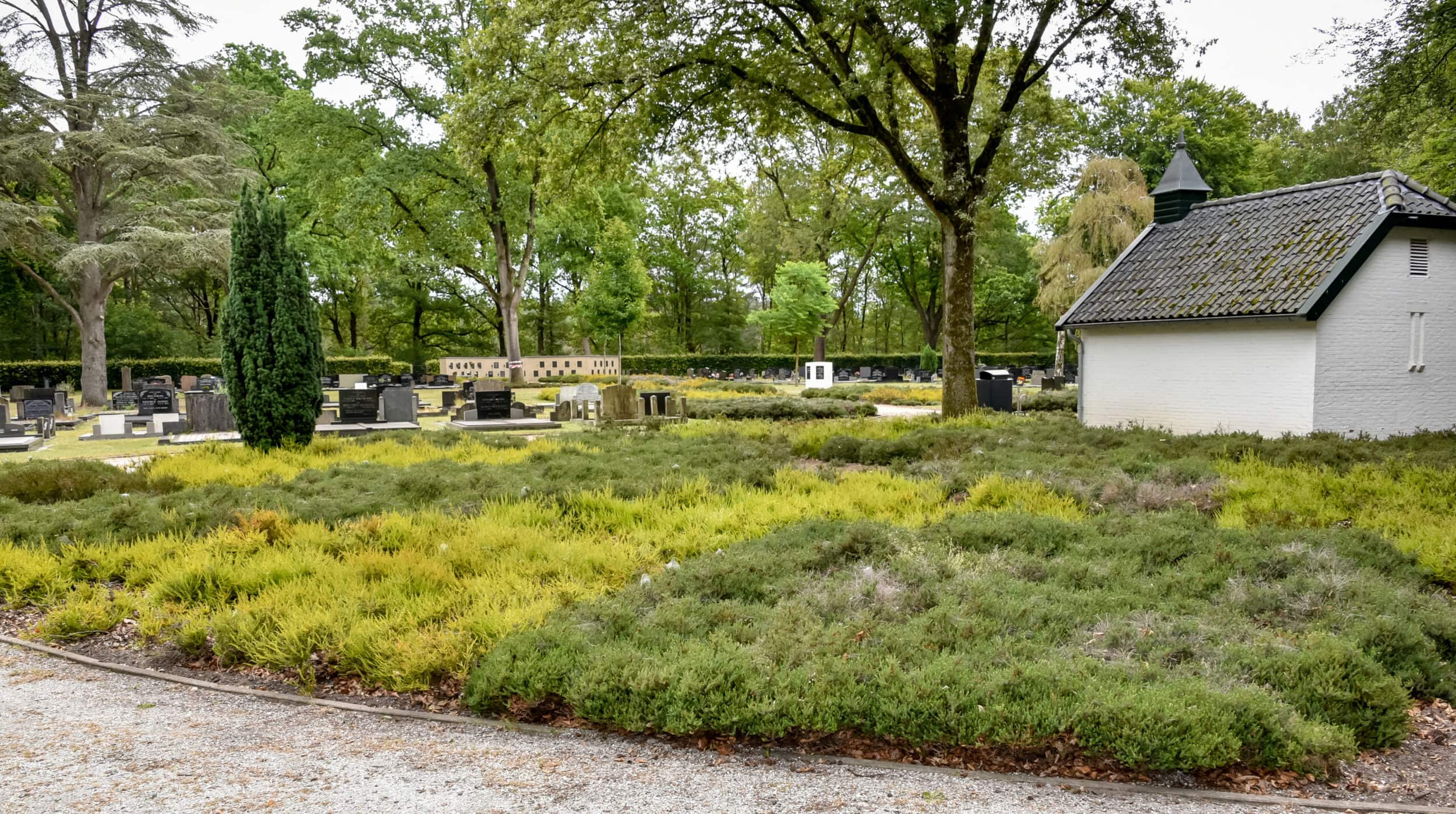 tuinonderhoud bedrijven