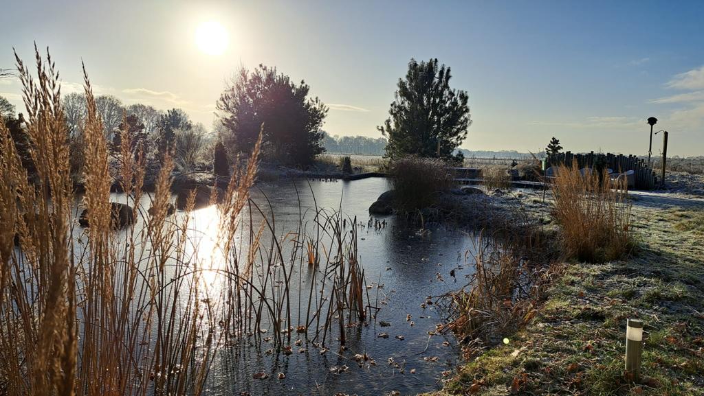 De vijver in je tuin winterklaar maken