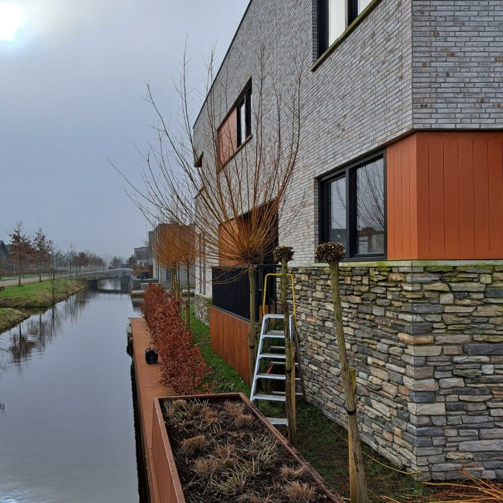 Snoeien en onderhoud van planten